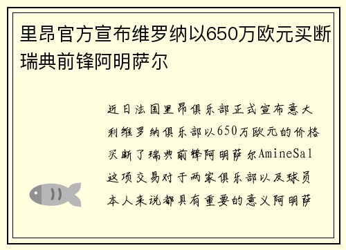 里昂官方宣布维罗纳以650万欧元买断瑞典前锋阿明萨尔