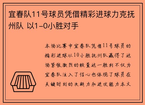 宜春队11号球员凭借精彩进球力克抚州队 以1-0小胜对手